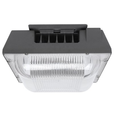 LED Canopy Light CAN410picture4