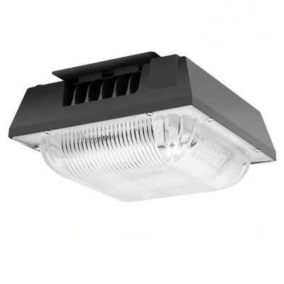 LED Canopy Light CAN410picture6