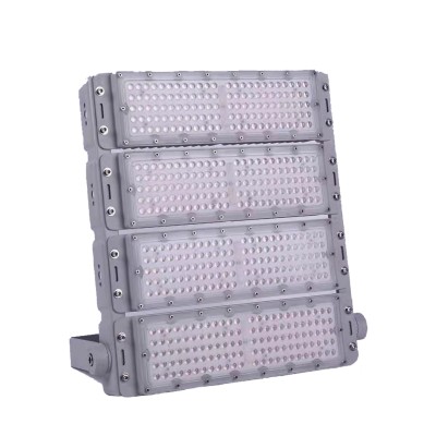 LED Tunnel Light TUN420picture2