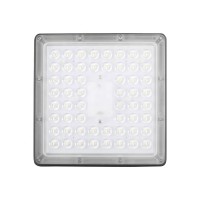 LED Canopy Light CAN420