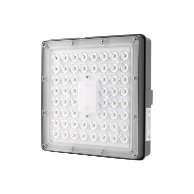 LED Canopy Light CAN420picture3