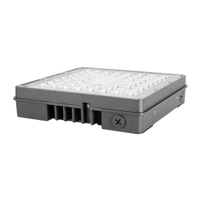 LED Canopy Light CAN420picture4
