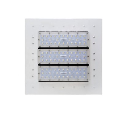 LED Canopy Light CAN530picture2