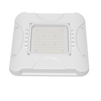 LED Canopy Light CAN430
