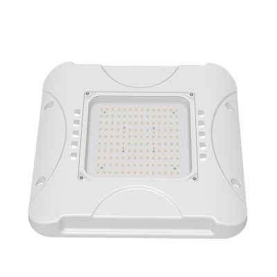 LED Canopy Light CAN430picture2