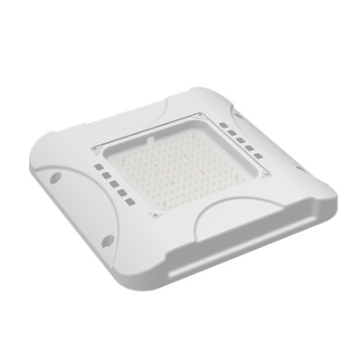 LED Canopy Light CAN430picture3
