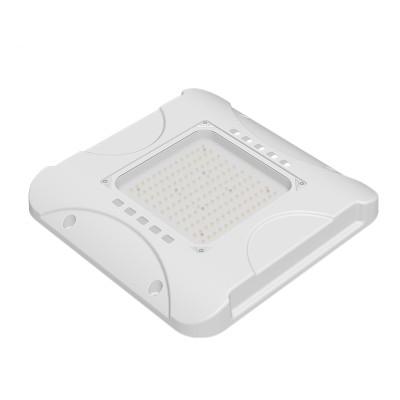LED Canopy Light CAN430picture4