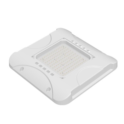 LED Canopy Light CAN430picture5