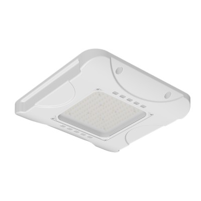 LED Canopy Light CAN430picture6