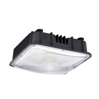 LED Canopy Light CAN750