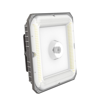 LED Canopy Light CAN570picture5