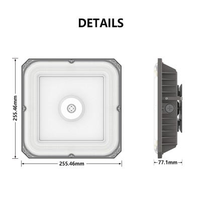 LED Canopy Light CAN570picture6