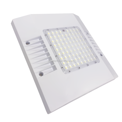 LED Gas Station Light CAN170picture3