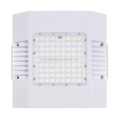 LED Gas Station Light CAN170picture5