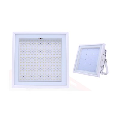 LED Gas Station Light CAN180picture2