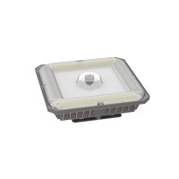 LED Canopy Light CAN440