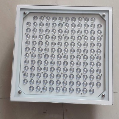 LED Canopy Light CAN580picture3