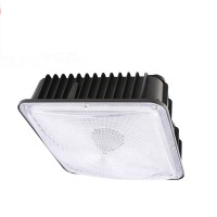 LED Gas Station Light CAN120