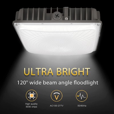 LED Gas Station Light CAN120picture4
