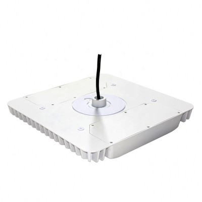 LED Canopy Light CAN460picture3
