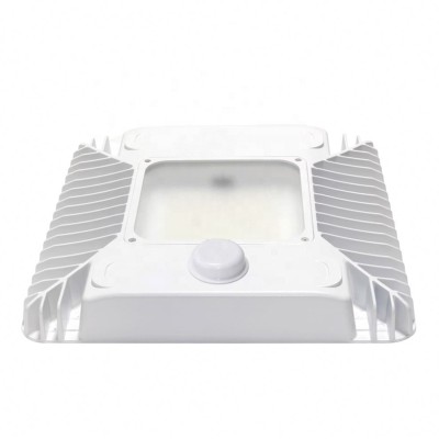 LED Canopy Light CAN460picture4