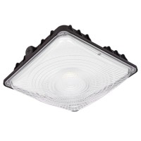 LED Canopy Light CAN470