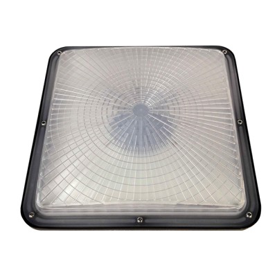 LED Canopy Light CAN470picture2