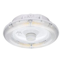 LED Canopy Light CAN590
