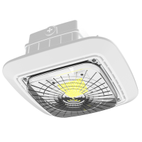 LED Gas Station Light CAN310