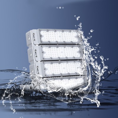 LED Tunnel Light TUN190picture5