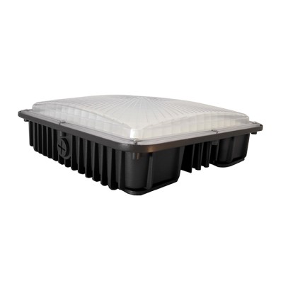 LED Canopy Light CAN560picture2
