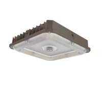 LED Gas Station Light CAN130