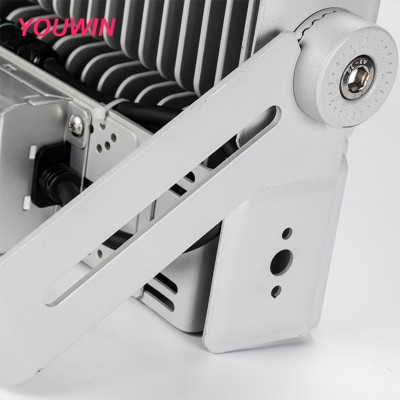 LED Tunnel Light TUN220picture5
