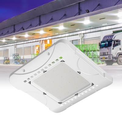 LED Gas Station Light CAN290picture2