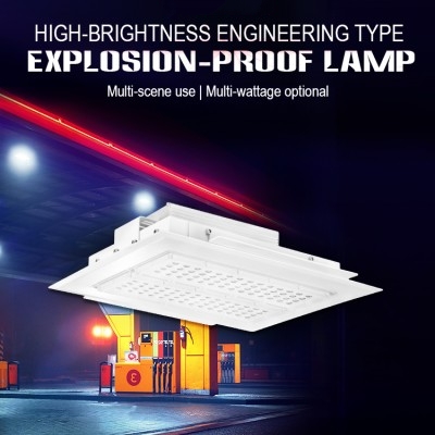 LED Gas Station Light CAN300picture2