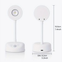 LED Wall Light WL430