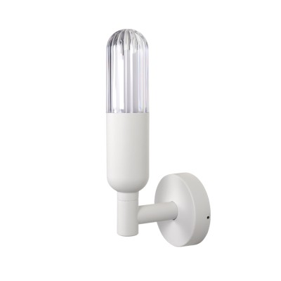 LED Wall Light WL450picture1