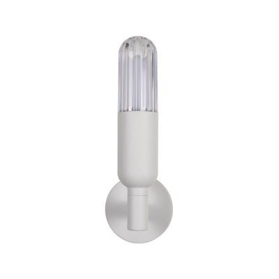 LED Wall Light WL450picture2