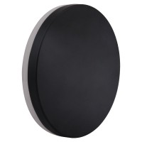LED Wall Light WL480