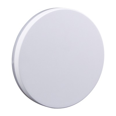 LED Wall Light WL480picture3