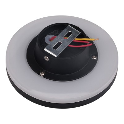 LED Wall Light WL480picture4