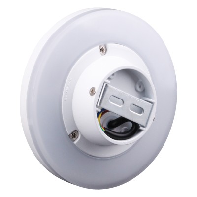 LED Wall Light WL480picture5