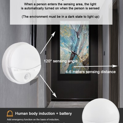 LED Ceiling Light CL340picture2