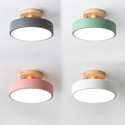 LED Ceiling Light CL350picture2