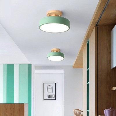 LED Ceiling Light CL350picture4