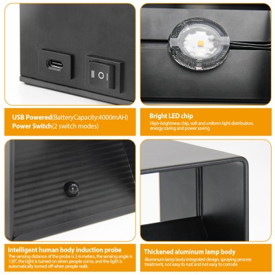 LED Wall Light WL820picture6