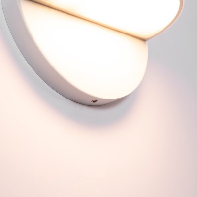 LED Wall Light WL390picture5