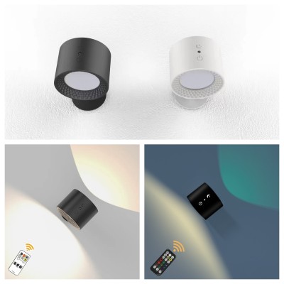 LED Wall Light WL850picture4