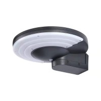 Solar Wall Light SWL240