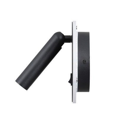 LED Wall Light WL100picture2